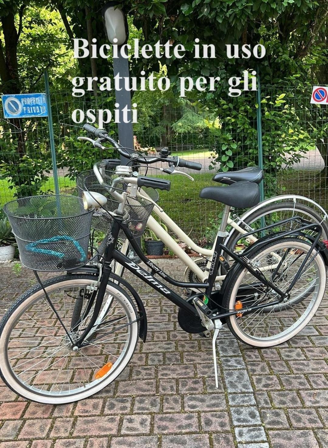Appartamento Fronte Parco Hofer Con Parcheggio Piu Bici Gratuiti E Check Out Fino Ore 19 Su Richiesta Mantova Ngoại thất bức ảnh